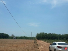 Bán gấp lô đất vườn 1/DT749B giáp chủ hơn 1100m2 tại xã Minh Hoà, Dầu Tiếng,BD