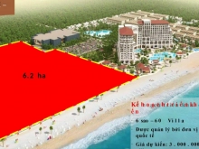 The Show Quang Binh - Phân Khu La Diva Quang Binh