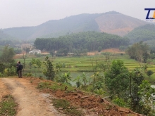 Cần bán đất Thanh Sơn Phú Thọ 2ha giá chưa đến 2 tỷ LH: A Tiến