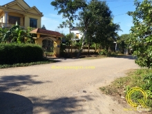 ???KDC Lê Hồng Phong, TT. Hồ Xá, Vĩnh Linh.