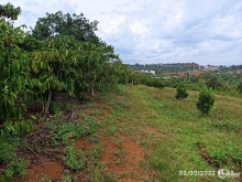 Cần bán 3.4 sào Lộc Thành Bảo Lâm, gần sông Đại Bình Quốc Lộ 55