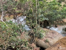 Cần bán 1.4ha đất ven suối Lộc Tân, 560 triệu/sào