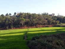 Đất Sào Đẹp View Ruộng Hướng Ra Khu Du Lịch Sinh Thái KOTAM