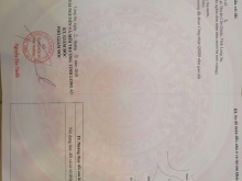 Bán 1.000m2 đất, giá 1,3 tỷ, xã Phước Lại, Cần Giuộc, xe hơi đến nơi