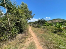  Bán nhanh đất ở nông thôn 12.000m2 đất trồng cây lâu năm Thị Xã Ninh Hoà.