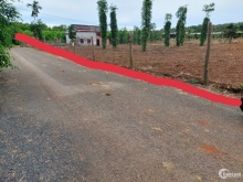 Đất sào 3,1 sào Hòa Hưng Xuyên Mộc BRVT,