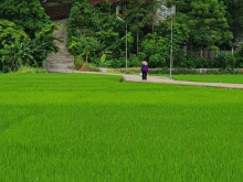 Bán mảnh đất vườn ở Phú Xuân, tp.Thái Bình