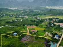 Cần bán lô đất 3 mặt tiền sẵn ao có dt 7615m2 giá chỉ vài trăm nghìn mét vuông