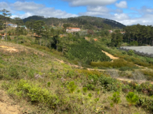 Giảm 3 tỷ SRNN 1,2ha, mặt tiền QL27C, Đa Nhim - Lạc Dương - 22 tỷ còn 19 tỷ. CC