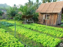 Bán Đất Vườn Thoáng Mát, View Hồ Trị An - Tiềm Năng Phát Triển Mạnh