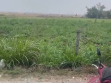 Mình cần bán nhanh 2 lô đất chính chủ có sổ hồng sẵn