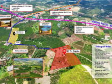 duy nhất ngày hôm này bán lấy lộc