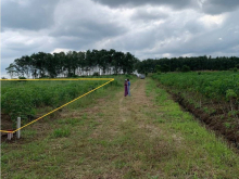 1000m2 đất rất đẹp vuông vức, nở hậu