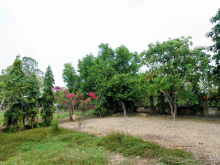 Bán đất Xã Trung Lập Thượng, giá tốt để đầu tư.