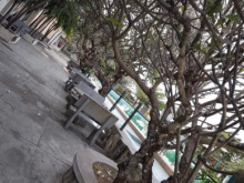 Bán khách sạn 20 phòng MT 95m Võ Thị Sáu, Long Hải, Long Điền, Bà Rịa Vũng Tàu