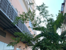 HQC HÓC MÔN ĐƯỜNG NGUYỄN THỊ SÓC,CĂN 53M2 GIÁ 1.050 TỶ,2PN.LH 0909 456 158