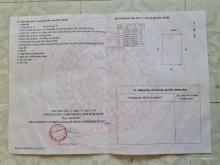 Đất chính chủ hiện trạng đất trồng cây lâu năm cần bán