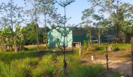 bán gấp chỉ 8tr/m 7000m(70x99)TAM ĐA, TRƯỜNG THẠNH CHỈ 60T, Tiện khai thác