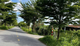 Đất mặt tiền nhựa siêu đẹp (9,5 x 50m) thích hợp đầu tư (590tr)