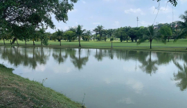 Cập nhật bảng giá đất nền sổ đỏ Biên Hòa New City, cam kết báo đúng giá thật