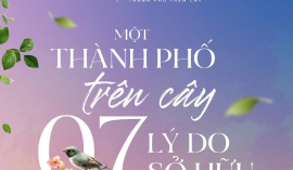 The Felix - Dự án thành phố trên cây . Căn hộ cho giới trẻ