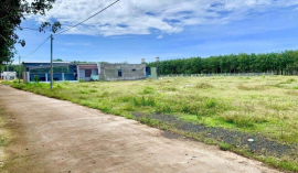 KẸT TIỀN TRẢ NỢ BÁN 2036M2 ĐẤT NGAY KCN, CHỢ ĐÔNG DÂN TIỆN XÂY TRỌ. GIÁ 160TR
